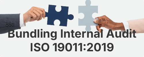 bundling internal audit